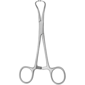 Blunt Tip Towel Forceps Backhaus with rounded tips.